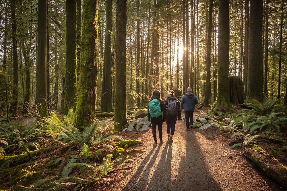 Counselor leading a pair of teens on a hike during wilderness therapy